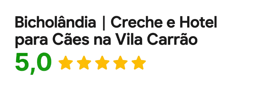 Avaliações Bicholândia l Creche e Hotel para Cães na Vila Carrão