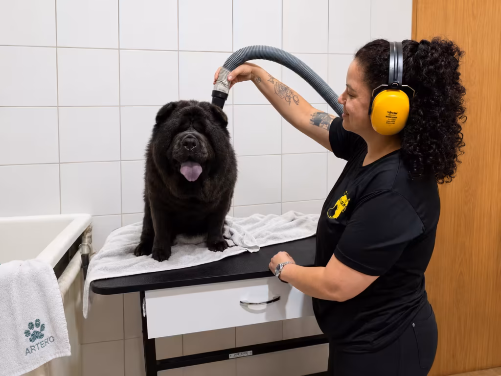 Banho e Tosa na Bicholândia l Creche e Hotel para Cães na Vila Carrão