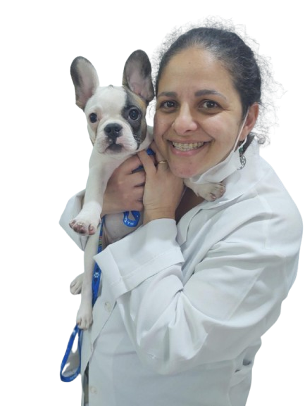 Médica Carolina Cacezi da Creche e Hotel para Cães na Vila Carrão | Bicholândia