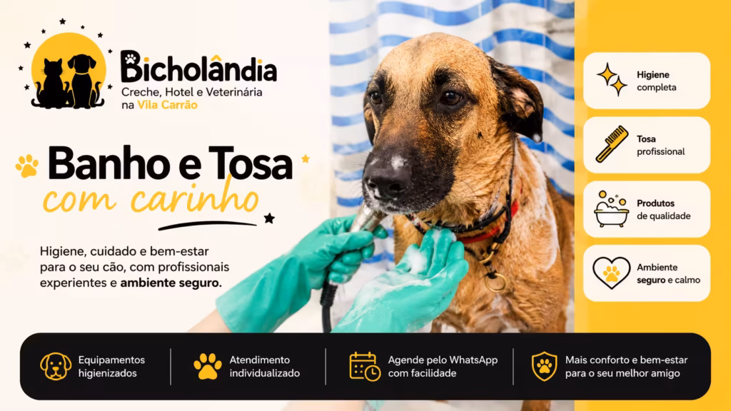 Banho e Tosa para Cães l Bicholândia Creche, Hotel e Veterinária na Vila Carrão