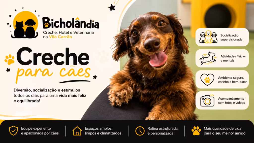 Creche para Cães l Bicholândia Creche, Hotel e Veterinária na Vila Carrão