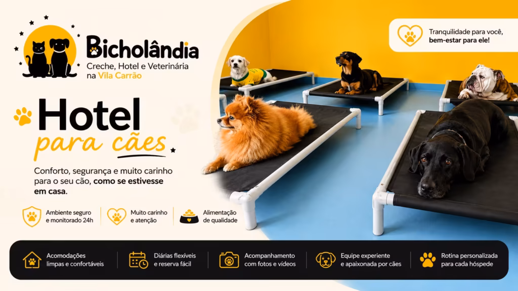 Hotel para Cães l Bicholândia Creche, Hotel e Veterinária na Vila Carrão