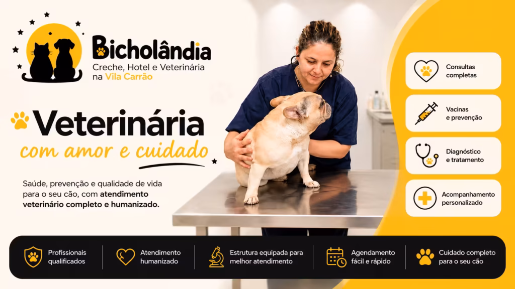 Veterinária l Bicholândia Creche, Hotel e Veterinária na Vila Carrão