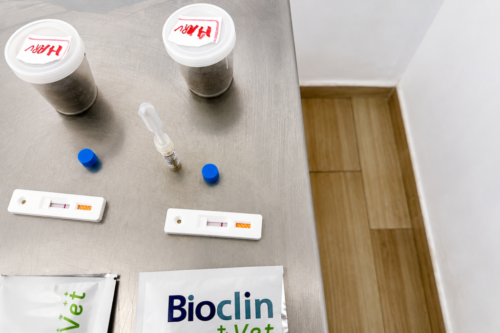 Exame Parasitológico de Fezes e Teste Rápido para Giardia - Artigo de Blog da Bicholândia Creche, Hotel e Veterinária na Vila Carrão