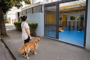 Tutor avaliando creche para cães antes de escolher o melhor espaço para seu pet