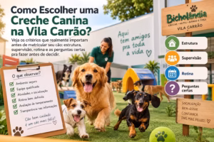 Veja os critérios que realmente importam antes de matricular seu cão estrutura, supervisão, rotina e as perguntas certas pra fazer antes de decidir.